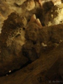 Альбом отзыва "Самостоятельно на Мальту. Остров Гоцо."