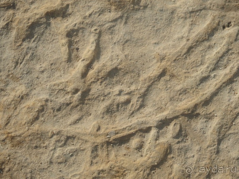 Самостоятельно на Мальту. Остров Гоцо.