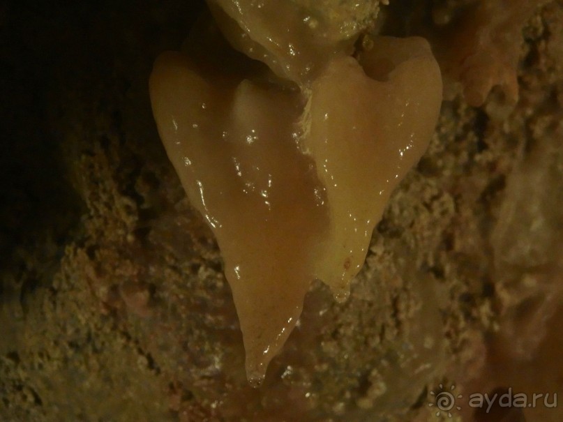 Самостоятельно на Мальту. Остров Гоцо.