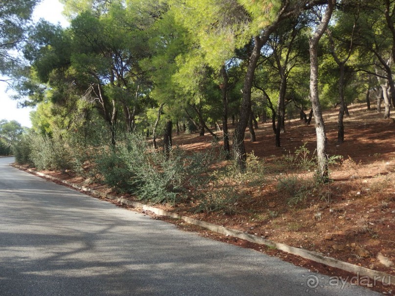 Самостоятельно в Грецию. Афины.