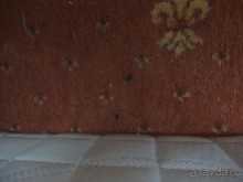 мышиное дерьмо