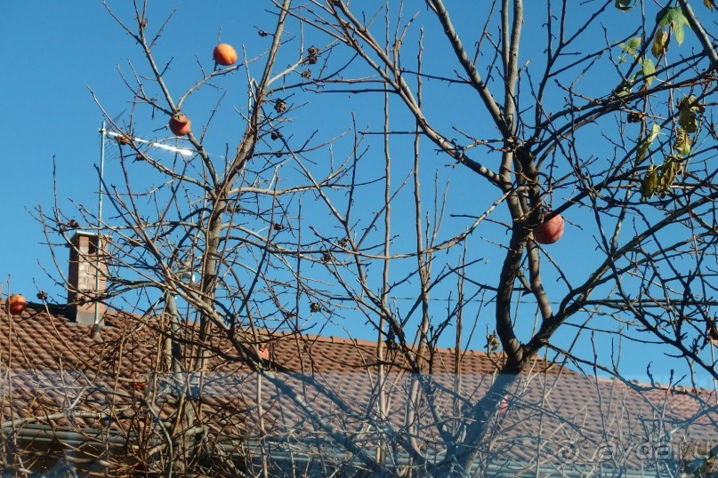 Самостоятельно в Турин. Италия.