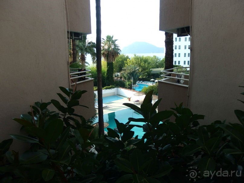 вид из коридора