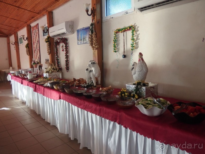 Турция. Мармарис. Отель Амос 3*.