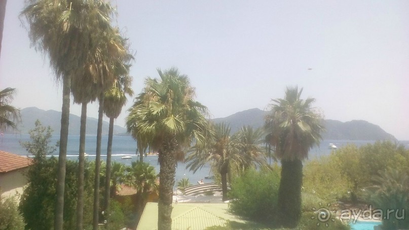 вид из окна номера