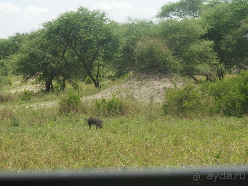 фото Танзания