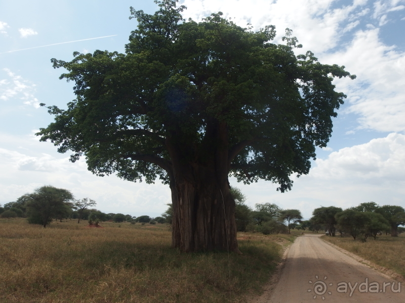 фото Танзания
