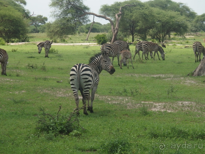 фото Танзания