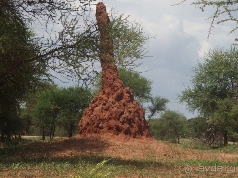 фото Танзания