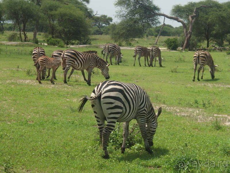 фото Танзания
