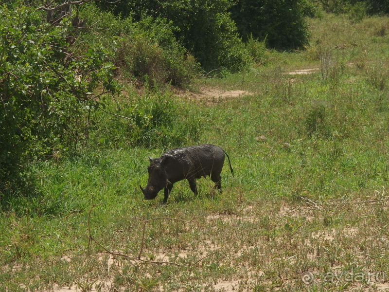 фото Танзания
