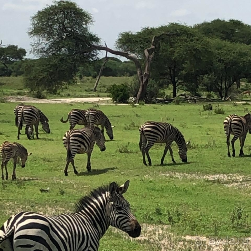 фото Танзания