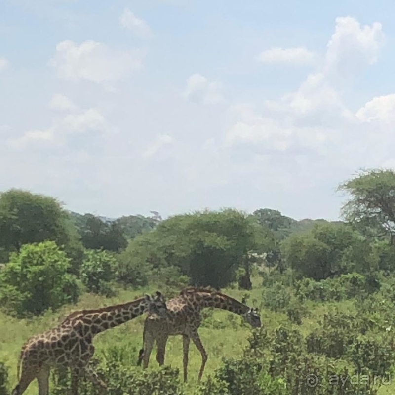 фото Танзания