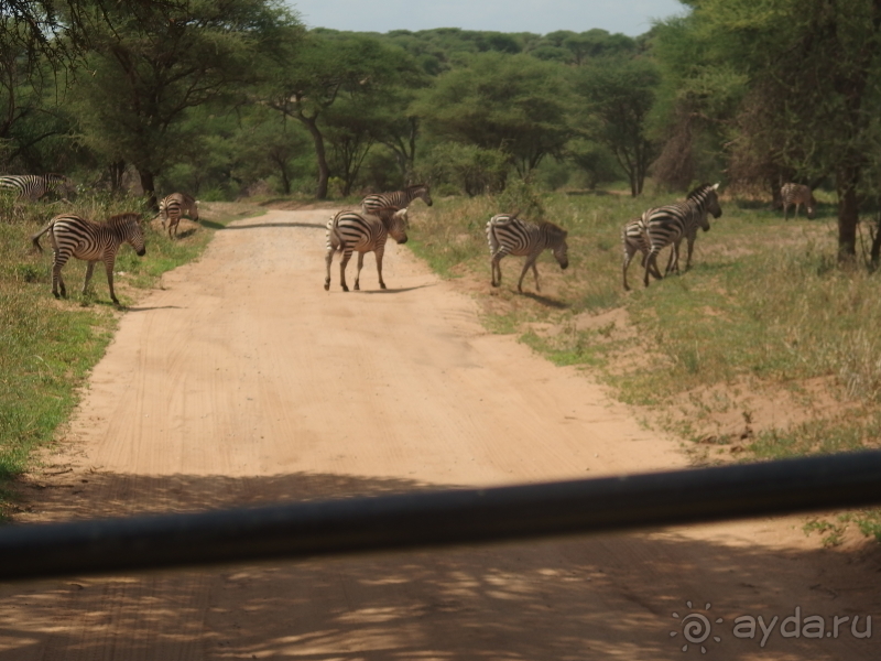фото Танзания