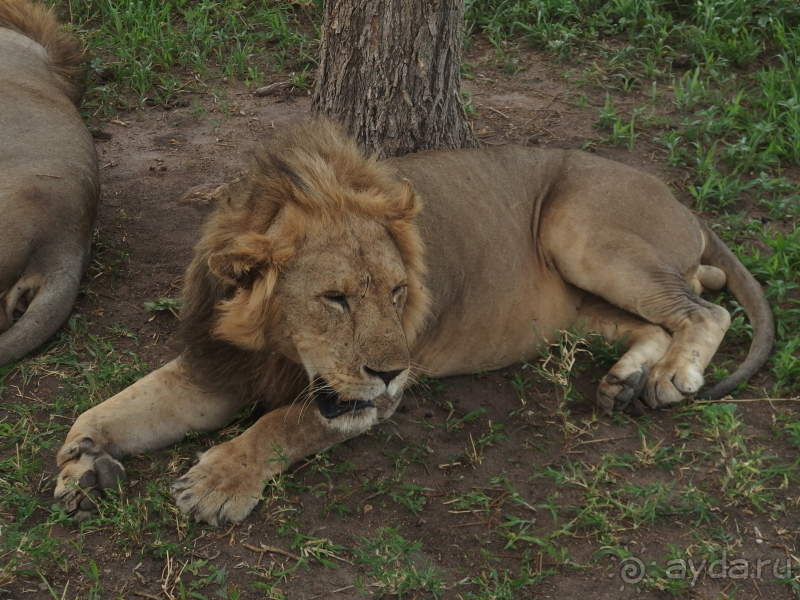 фото Танзания