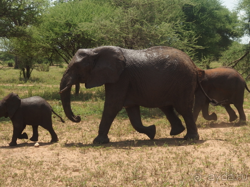 фото Танзания