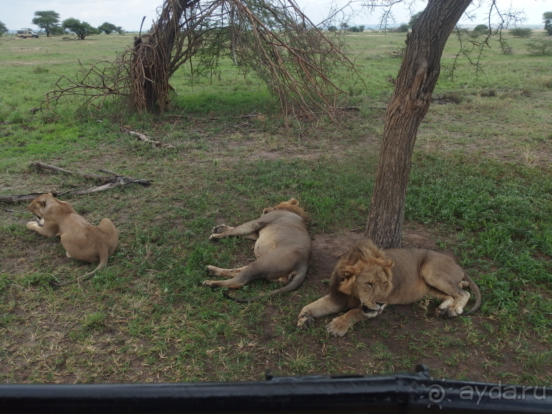 фото Танзания