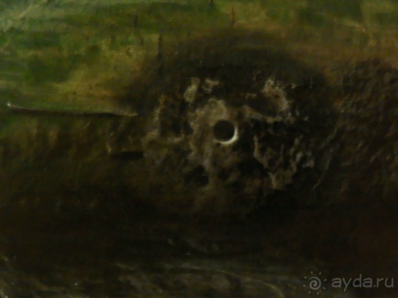 Самостоятельно в Стамбул с авиакомпанией "Победа".