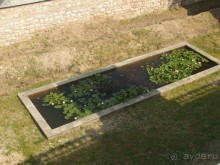 Самостоятельно в Стамбул с авиакомпанией "Победа".