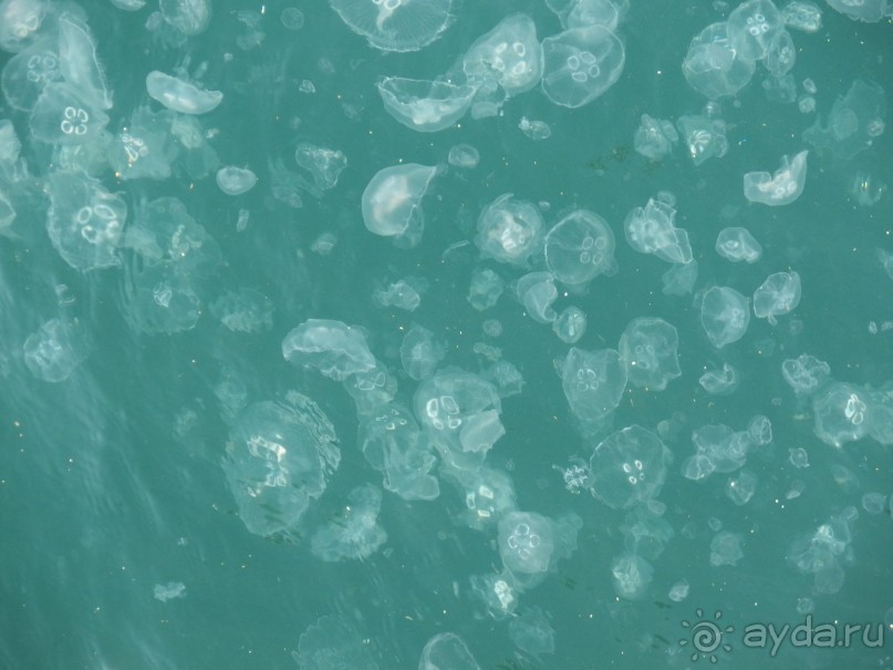 Самостоятельно в Стамбул с авиакомпанией "Победа".