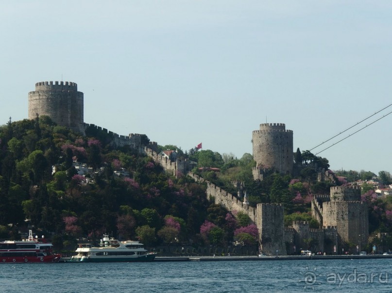 Самостоятельно в Стамбул с авиакомпанией "Победа".