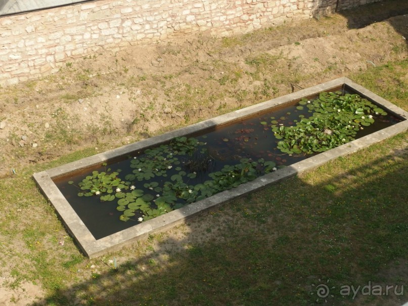 Самостоятельно в Стамбул с авиакомпанией "Победа".