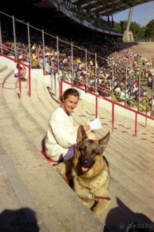 Впервые на машине в Германию с овчаркой: Племенные группы и вечерний Вайсенбах