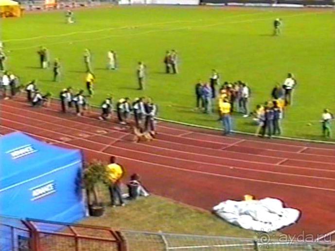 Впервые на машине в Германию с овчаркой: Племенные группы и вечерний Вайсенбах