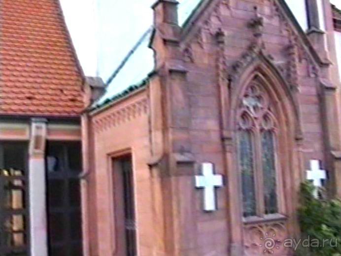 Впервые на машине в Германию с овчаркой: Племенные группы и вечерний Вайсенбах