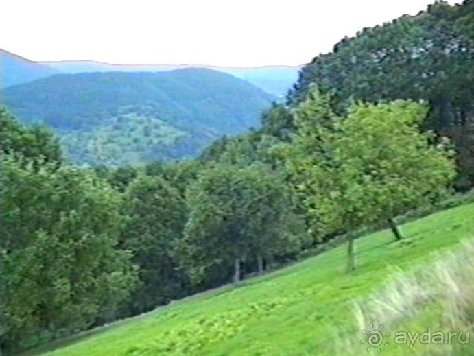 Впервые на машине в Германию с овчаркой: Племенные группы и вечерний Вайсенбах