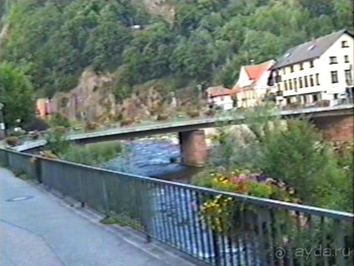 Впервые на машине в Германию с овчаркой: Племенные группы и вечерний Вайсенбах