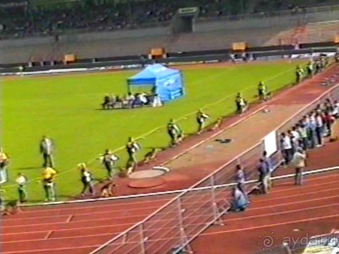 Впервые на машине в Германию с овчаркой: Племенные группы и вечерний Вайсенбах