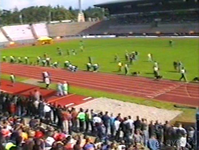 Впервые на машине в Германию с овчаркой: Племенные группы и вечерний Вайсенбах