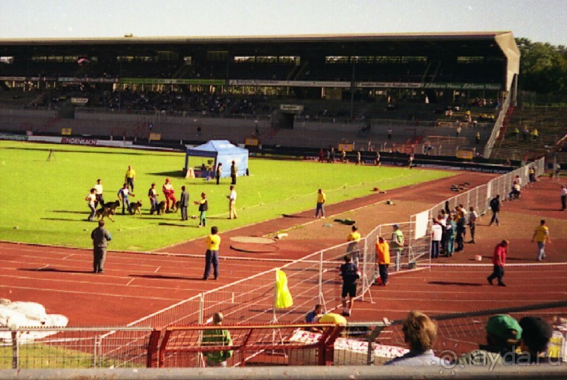 Впервые на машине в Германию с овчаркой: Племенные группы и вечерний Вайсенбах