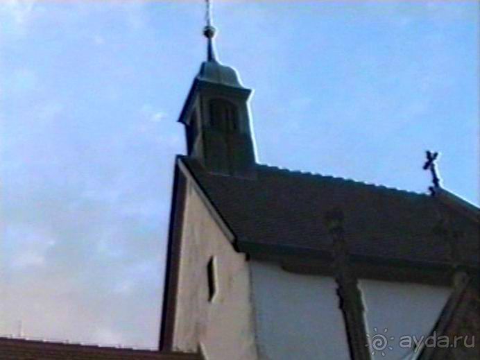 Впервые на машине в Германию с овчаркой: Племенные группы и вечерний Вайсенбах