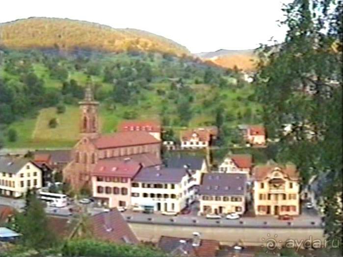 Впервые на машине в Германию с овчаркой: Племенные группы и вечерний Вайсенбах