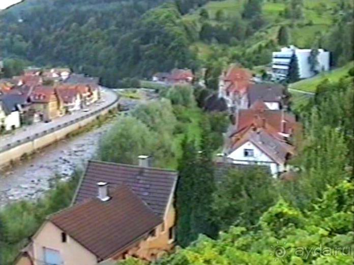 Впервые на машине в Германию с овчаркой: Племенные группы и вечерний Вайсенбах