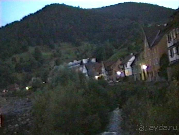 Впервые на машине в Германию с овчаркой: Племенные группы и вечерний Вайсенбах