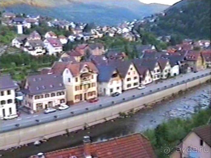 Впервые на машине в Германию с овчаркой: Племенные группы и вечерний Вайсенбах