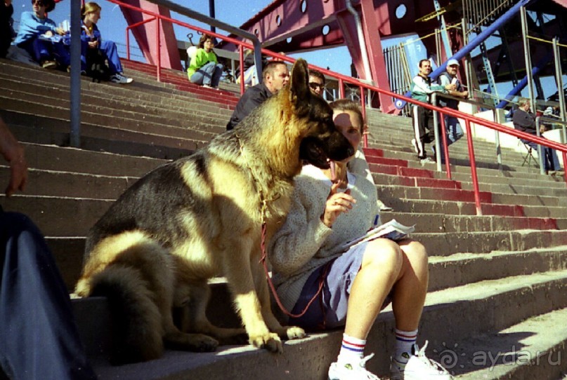 Впервые на машине в Германию с овчаркой: Племенные группы и вечерний Вайсенбах Впервые на машине в Германию с овчаркой: Племенные группы и вечерний Вайсенбах