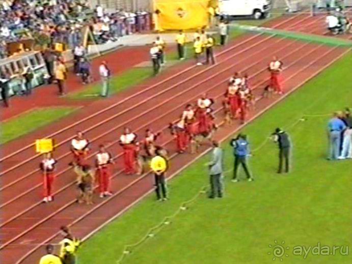 Впервые на машине в Германию с овчаркой: Племенные группы и вечерний Вайсенбах