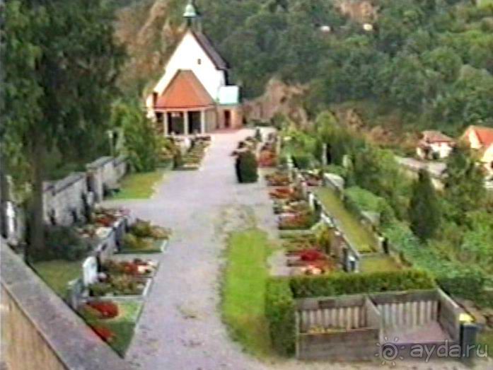 Впервые на машине в Германию с овчаркой: Племенные группы и вечерний Вайсенбах