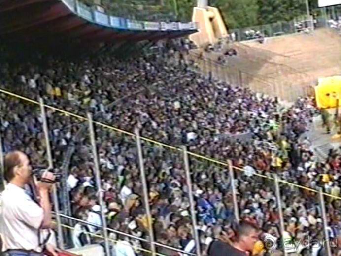 Впервые на машине в Германию с овчаркой: Племенные группы и вечерний Вайсенбах