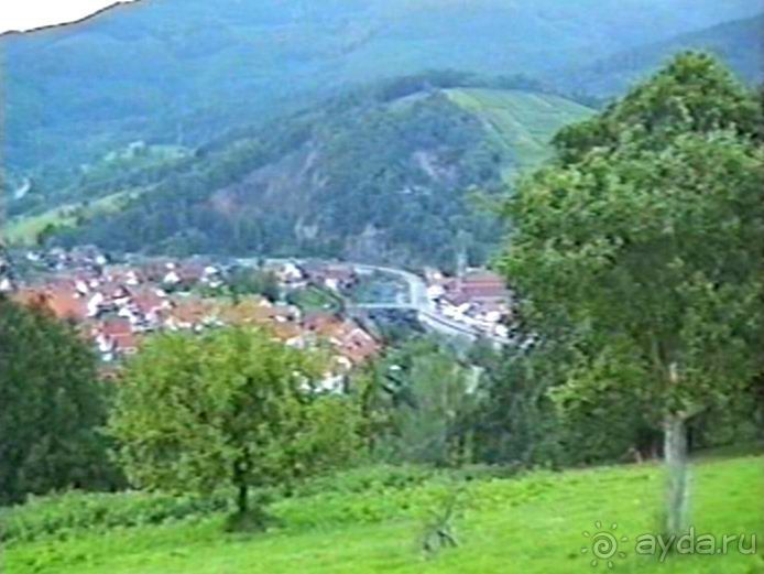 Впервые на машине в Германию с овчаркой: Племенные группы и вечерний Вайсенбах