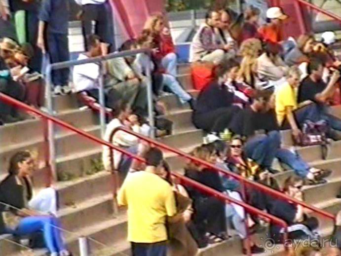 Впервые на машине в Германию с овчаркой: Племенные группы и вечерний Вайсенбах