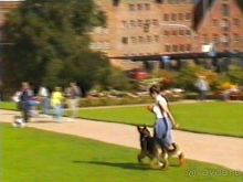 Вторая поездка в Германию на автомобиле: Любек и Шверин