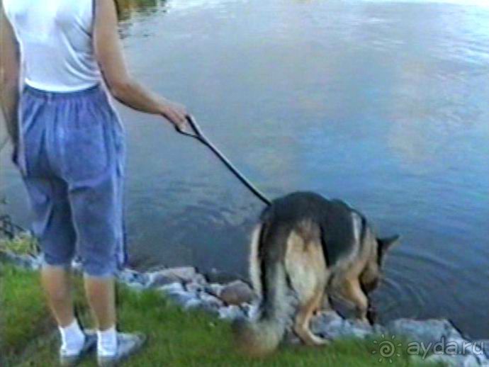 Вторая поездка в Германию на автомобиле: Любек и Шверин