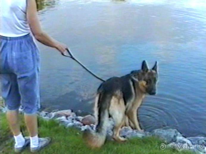 Вторая поездка в Германию на автомобиле: Любек и Шверин