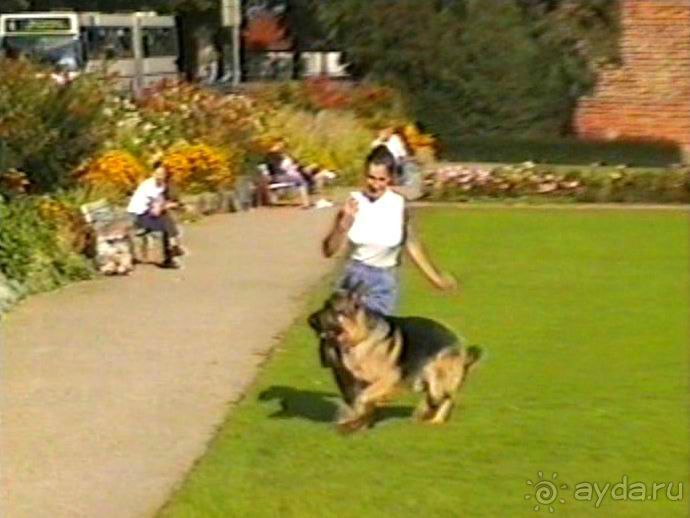 Вторая поездка в Германию на автомобиле: Любек и Шверин