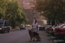 Поездка в Германию на автомобиле с немецкой овчаркой. Часть 10. Транзит Польши с заездом в Краков 